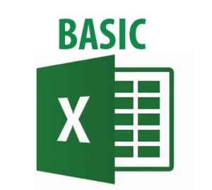 Microsoft Basic Excel Course