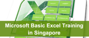 Basic Microsoft Excel Training Course in Singapore